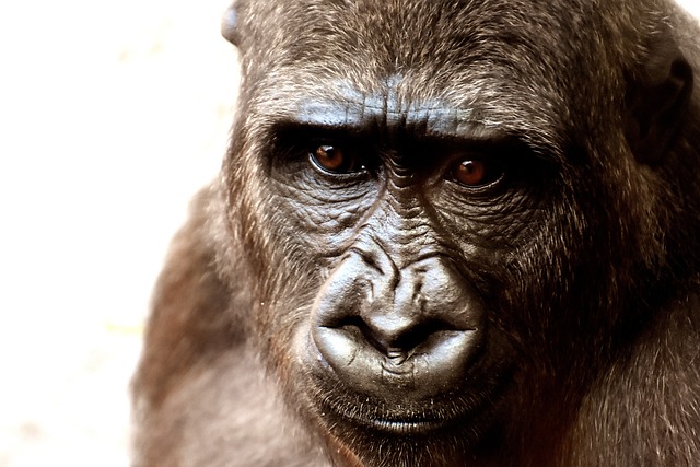Ontdek de highlights van Zoo Wuppertal